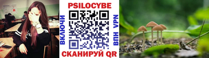 Галлюциногенные грибы GOLDEN TEACHER Усть-Катав
